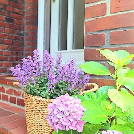 Renovated Townhouse With Garden *